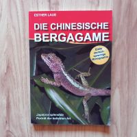 Die Chinesische Bergagame, Japalura splendida Niedersachsen - Harsefeld Vorschau