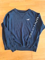 Sweatshirt hollister für junge Mädchen Wiesbaden - Mainz-Kostheim Vorschau