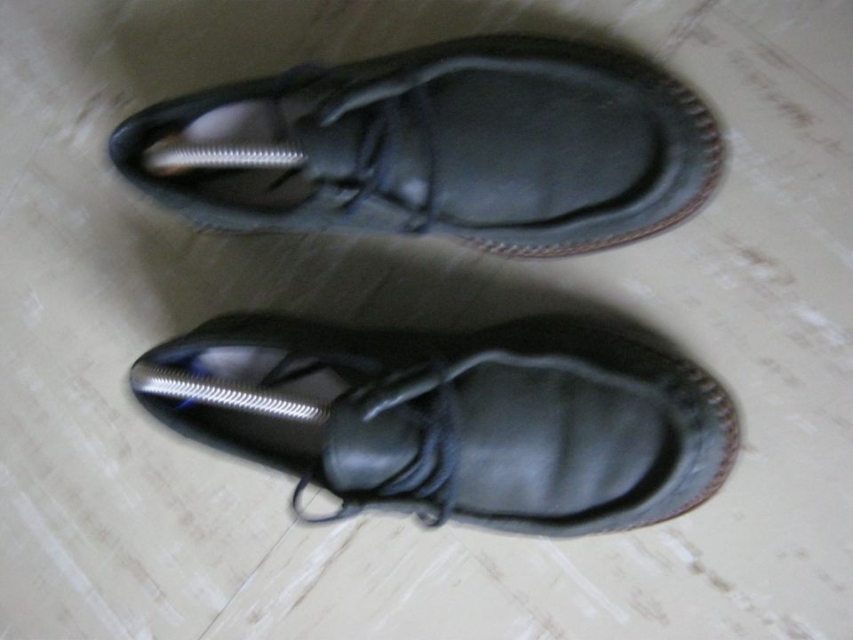 neue Leder  8 Paar Schuhe Gr 36, 37,38 in Essen