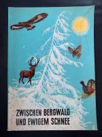 Zwischen Bergwald und ewigem Schnee - Knorr Sammelband 50er Bayern - Haldenwang Vorschau