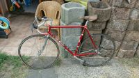 Rennrad Eddy Merckx Corsa rot 1980er vintage alt Nordrhein-Westfalen - Bottrop Vorschau