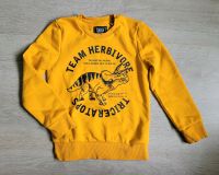 Dino Sweatshirt 128, fast neuwertig Nordrhein-Westfalen - Mönchengladbach Vorschau