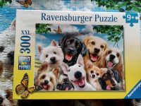 Ravensburger Puzzle XXL 300 Delighted Dogs Bayern - Böbrach Vorschau