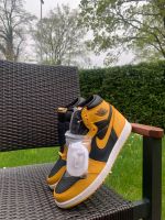 Air Jordan 1 High Og | Pollen | US 10.5 | EU 44.5 Feldmoching-Hasenbergl - Feldmoching Vorschau