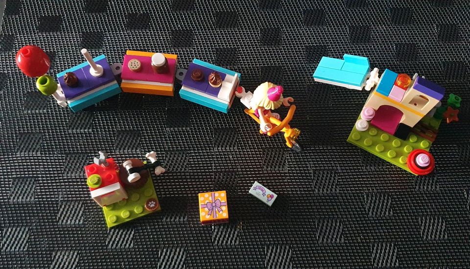 Lego Friends 41111, Partyzug in Olfen