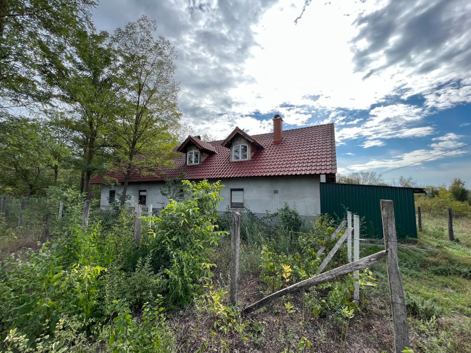 Gemütliches Landhaus Alleinlage umgeben von schöner Natur Ungarn in Ruhstorf an der Rott