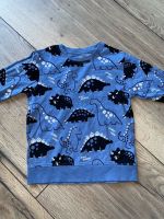 Next cooles Sweatshirt Dinosaurier blau wie neu in 116 Sommer Nordrhein-Westfalen - Hennef (Sieg) Vorschau