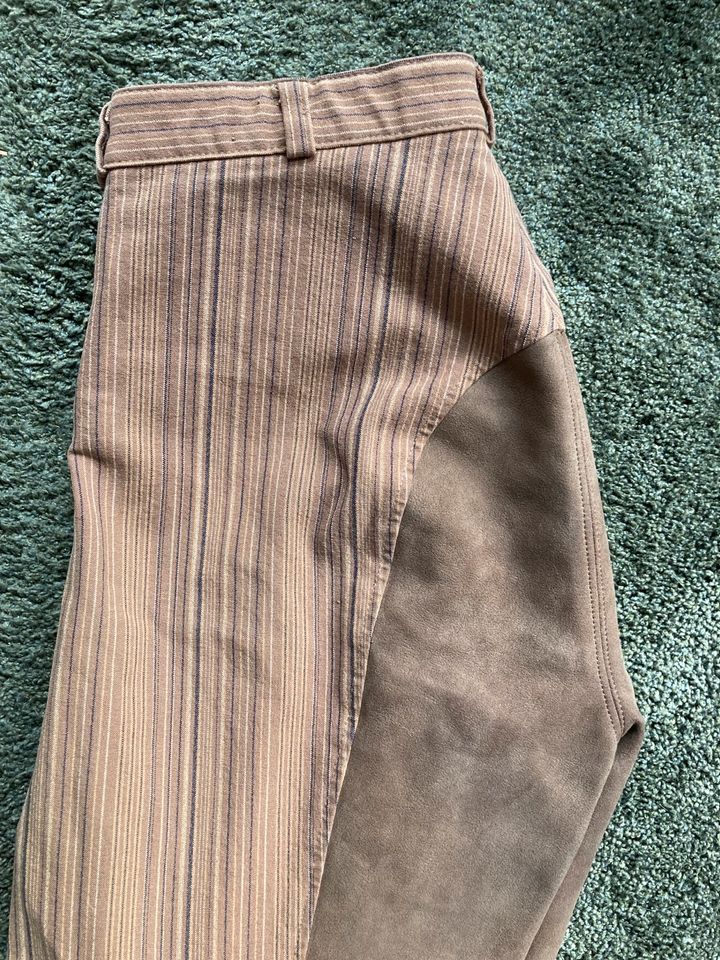 ☀️ euro-star Reithose ☀️ creme braun - Hunter Stripe - Gr. 40 in Anzing