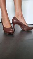 Pumps Högl Damen Schuhe Gr. 38/39 Dithmarschen - Brunsbuettel Vorschau
