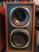 Tannoy Dorset T 185 Niedersachsen - Worpswede Vorschau