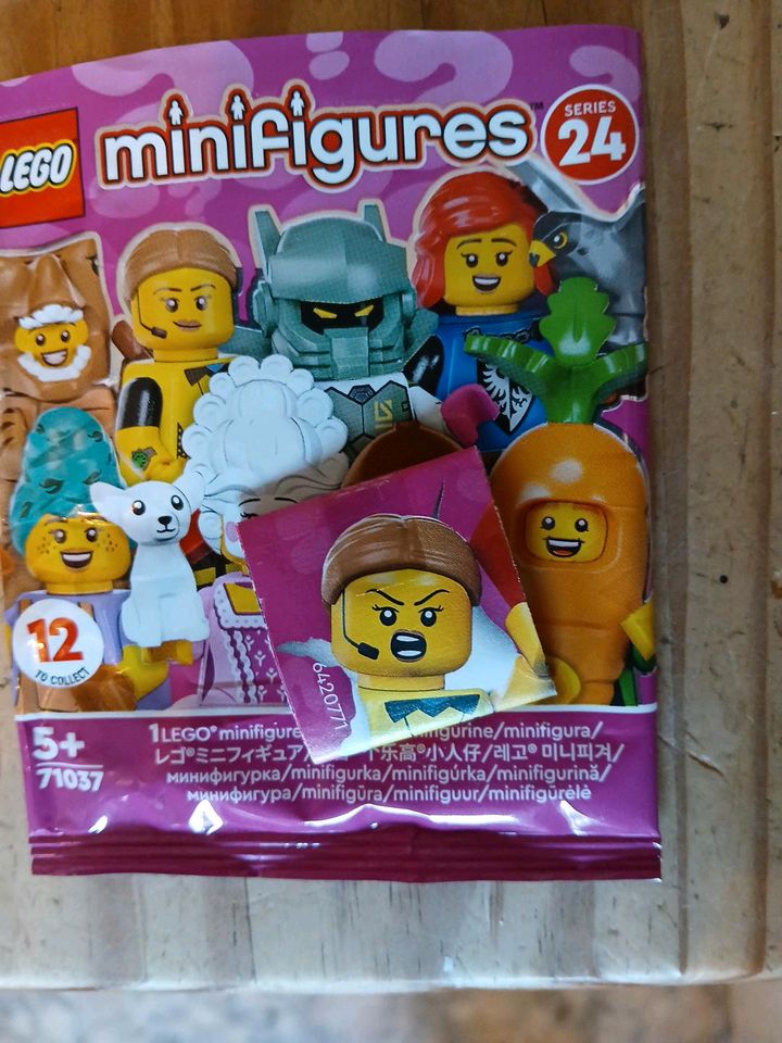 LEGO Minifiguren Serie 24 in Potsdam