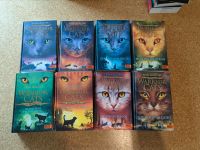 Warrior Cats Staffel 3 im Set Hardcover+ 2 Spezial Bände Bayern - Ingolstadt Vorschau