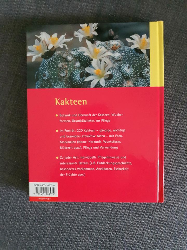 Kakteen, Elisabeth Manke in Sindelfingen