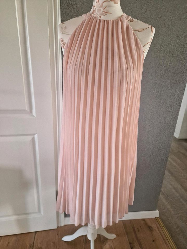 Damenkleid Gr. S neu in Neumünster