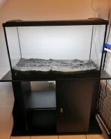 Eheim Aquarium 180 Liter mit Unterschrank&Zubehör Nordrhein-Westfalen - Viersen Vorschau