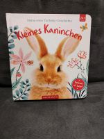 Buch Kleines Kaninchen NEU Nordrhein-Westfalen - Warstein Vorschau