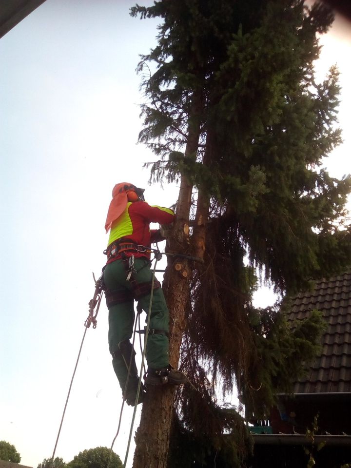 Baggerarbeiten/ Minibaggerarbeiten/ Pflasterarbeiten in Düren