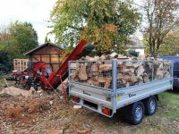 Wir sägen und spalten Ihr Brennholz/Lohnspalten Sägespaltautomat Niedersachsen - Dornum Vorschau