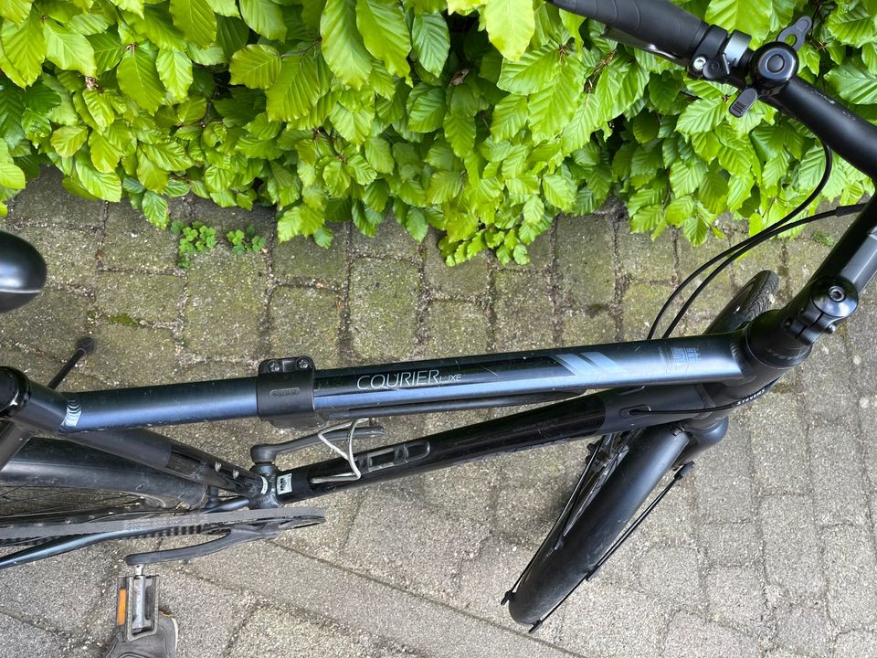 Stevens Courier Luxe Riemen Nexus MTB City Bike Fahrrad 61 in Hamburg
