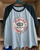 Tshirt Damen Gr. 3XL Große größen Niedersachsen - Ronnenberg Vorschau