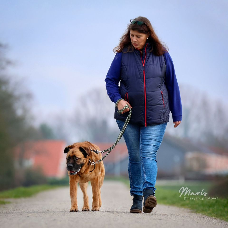 Liebenswerter Senior Jack in Stuhr möchte endlich ankommen in Stuhr