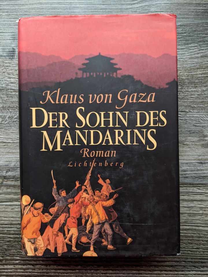 Klaus von Gaza DER SOHN DES MANDARINS HC + SU Historischer Roman in Ettlingen