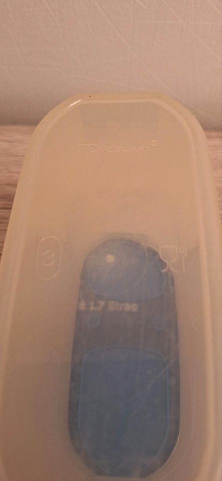 Tupperware Aufbewahrungsdose mit blauen Deckel 1,7 Liter in Worbis