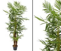 Areca Palme mehrstämmig Kunstpalme 25 Palmwedel 160cm #82509456A Bayern - Jettenbach Vorschau