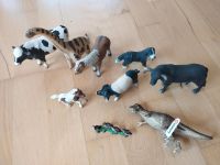 9 Schleich Tiere,Stier, Dino,Pferd, Fohlen,Hund, Schwei Ente Kreis Pinneberg - Holm Vorschau