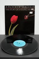 A Flock Of Seagulls – The Story Of A Young Heart | Vinyl, LP Freiburg im Breisgau - Wiehre Vorschau