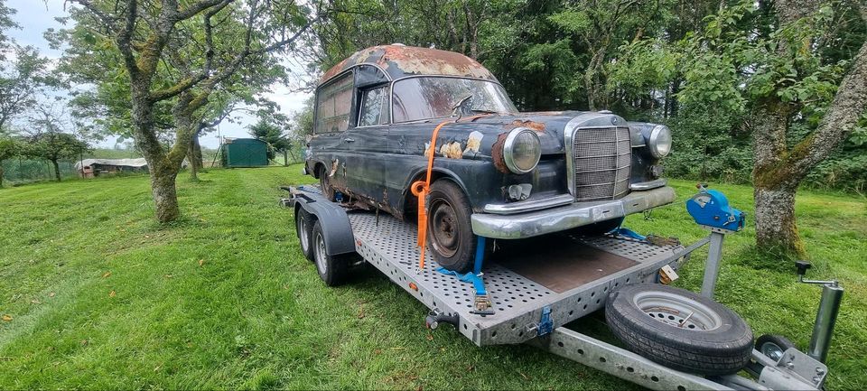 Fahrzeug Überführung,Transporte, Bauwagen,Auto in Losheim am See