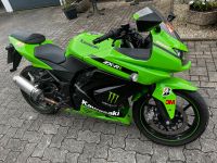 Kawasaki Ninja 250 R grün Sportler Bayern - Bischberg Vorschau