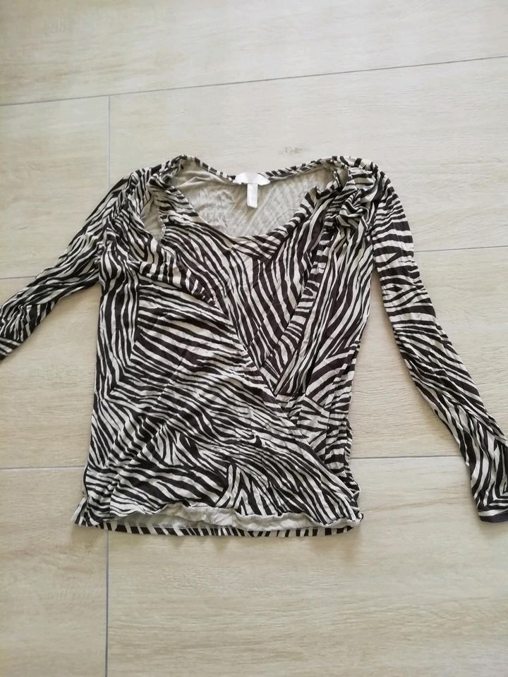 Stillshirt von H&M mit Zebra Muster in Olching
