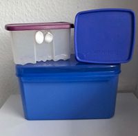 Tupperware Diverse Dosen *Gebraucht* Nordrhein-Westfalen - Senden Vorschau