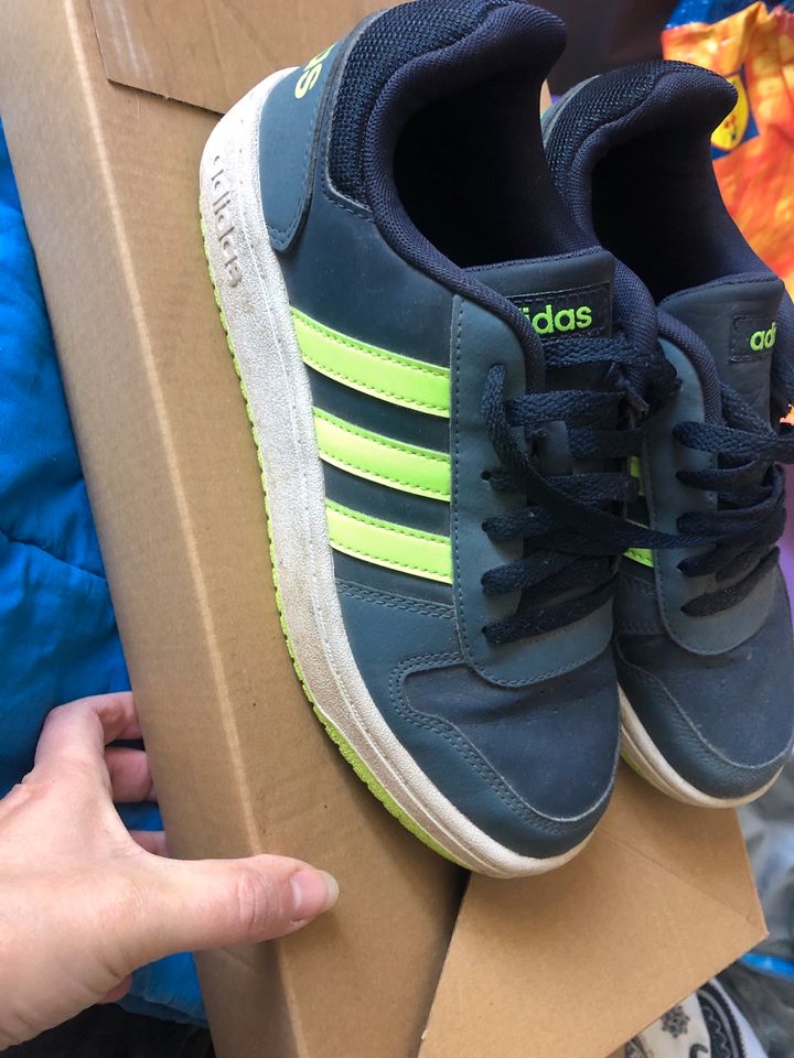 Adidas Schuhe Gr.40 in Saarlouis