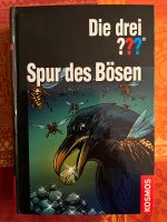 Die drei Fragezeichen ??? Spur des Bösen 3 Geschichten Buch Bayern - Wörthsee Vorschau