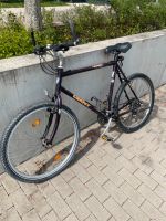 Giant Herren Mountainbike 26 Zoll Fahrrad Voll funktionsfähig Baden-Württemberg - Ulm Vorschau