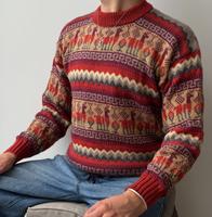 Alpaka Pullover Rot mit  Muster – Größe M Leipzig - Möckern Vorschau