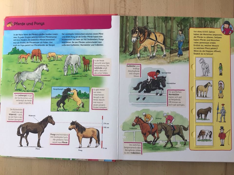 Buch mit Klappen Pferde und Ponys in Konstanz