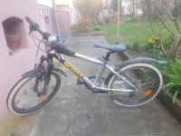 Kinder-Mountainbike 20 Zoll Scott MTB Hessen - Kassel Vorschau