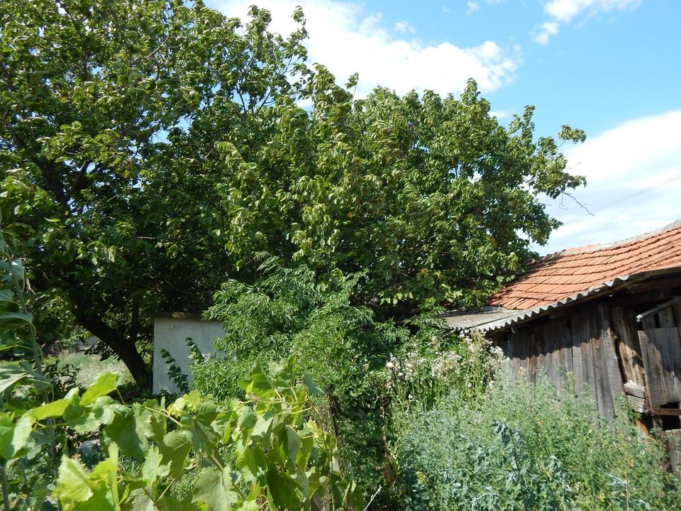 Haus mit 1800 m2 Grund,Nebengeb.bei Nova Zagora in Mügeln