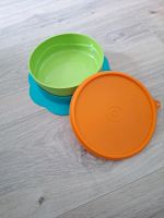 Tupperware Baby Brei Schalle Baden-Württemberg - Gomaringen Vorschau