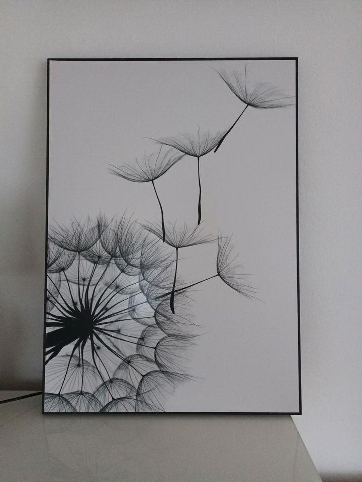 Bild schwarz weiß 50x70x2 cm in Holzwickede