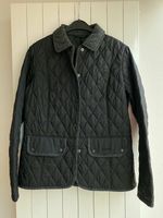 BARBOUR Damen Steppjacke Größe 40 Nordrhein-Westfalen - Paderborn Vorschau