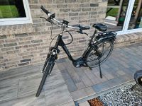 E-Bike Bosch Active Line Hercules Roberta Pro 8F Niedersachsen - Lathen Vorschau