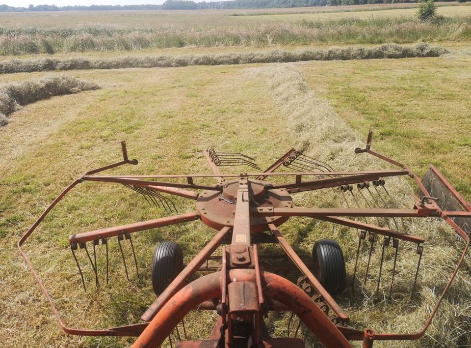 HD Ballen Heu Pferde Hasen Kaninchen Schafe Ziegen in Oldenburg