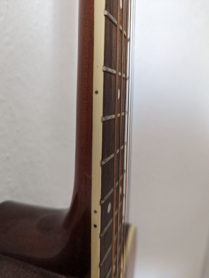 Ibanez PF60 in Braunschweig