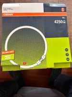 Osram/LEDVANCE T5-Ringform 55W/830 warmweiß 4200lm 2GX13 Berlin - Rudow Vorschau