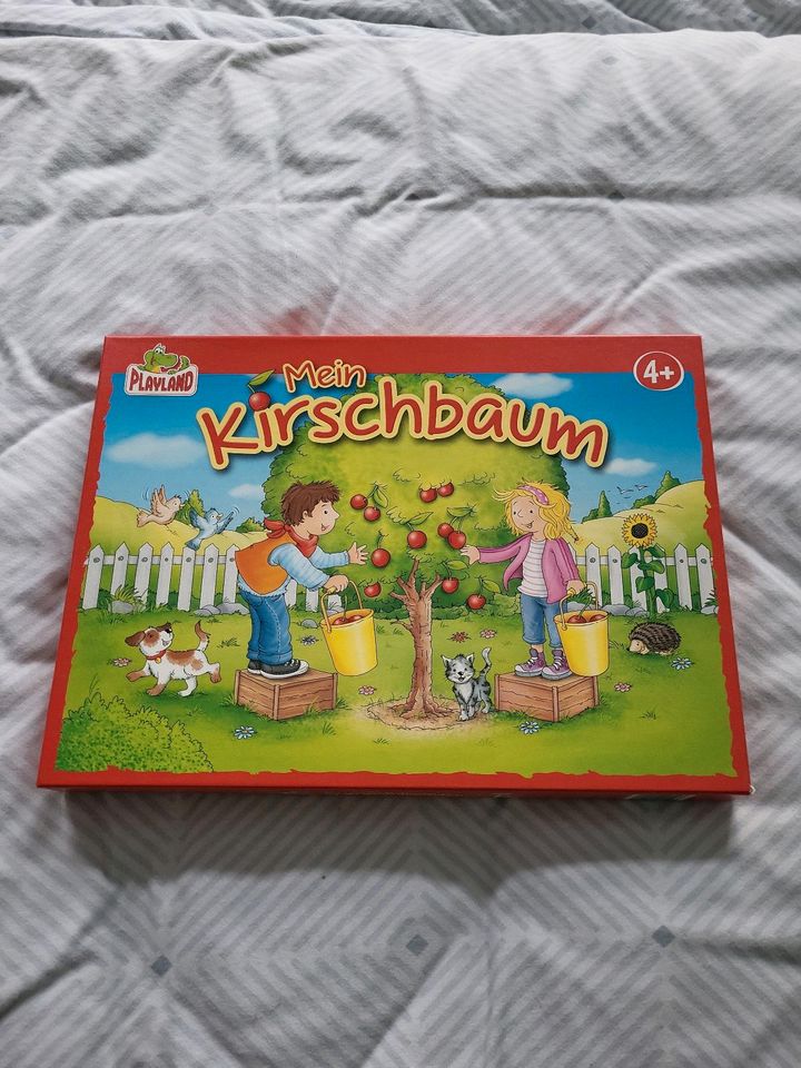 Spiel Brettspiel Spielsachen Kirschbaum in Leipzig