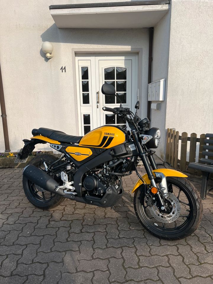 Yamaha XSR 125 Neuwertig in Blomberg